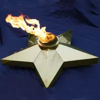 Звезда (газовая горелка) (1636) производство комплект горелка ГВД 379 10 89 00 ПС - ø 1000 мм. ветроустойчивая  в Оренбурге